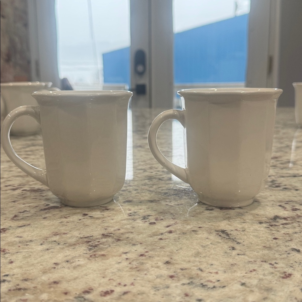 Pfaltzgraff Heritage White Mug Set of Two
